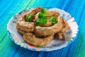Fried chicken necks with onions and cilantro Royalty Free Stock Photo
