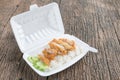 Fried chicken with rice in foam box Royalty Free Stock Photo