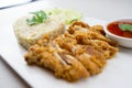 Fried-Chicken Rice