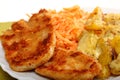 Fried chicken roasted potatos and carrot salad Royalty Free Stock Photo