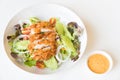 Fried Chicken salad with tomatoes, Cucumber and Onion.