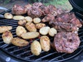 Fried chicken steak. A picnic in nature, poultry is cooked on a fire. Grilled meat dish with smoke. Outdoor cooking