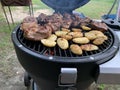 Fried chicken steak. A picnic in nature, poultry is cooked on a fire. Grilled meat dish with smoke. Outdoor cooking