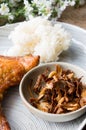 Fried chicken and sticky rice. Royalty Free Stock Photo