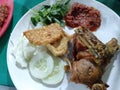 Fried chicken with tempeh and salad on white plate