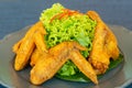 Fried chicken wing and vegetable on dish Royalty Free Stock Photo