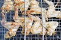 Fried chicken wings on barbecue grill. Fast food product Royalty Free Stock Photo