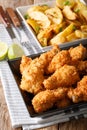 Fried chicken wings in bread crumbs and potato wedges close up. Royalty Free Stock Photo
