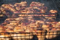 Fried chicken wings with a golden crust lay on a black, greasy grate on the grill. Close-up. Selective focus. Backyard Royalty Free Stock Photo