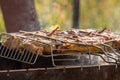 Chicken fried on the grill Royalty Free Stock Photo