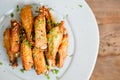 Fried Chicken Wings Royalty Free Stock Photo