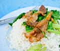 Fried Chinese Broccoli with Crispy Pork Royalty Free Stock Photo