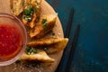 Fried Chinese dumpling called Gyoza, kind of asian food Royalty Free Stock Photo