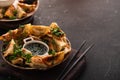 Fried Chinese dumpling called Gyoza, kind of asian food Royalty Free Stock Photo