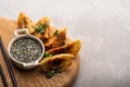 Fried Chinese dumpling called Gyoza, kind of asian food Royalty Free Stock Photo