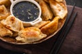 Fried Chinese dumpling called Gyoza, kind of asian food Royalty Free Stock Photo