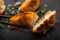 Fried Chinese dumpling called Gyoza, kind of asian food Royalty Free Stock Photo