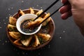 Fried Chinese dumpling called Gyoza, kind of asian food Royalty Free Stock Photo