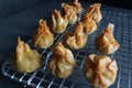 Fried Chinese Dumplings - resting