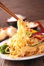 Fried chinese noodles Royalty Free Stock Photo