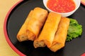 Fried Chinese Spring rolls