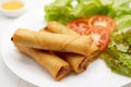 Fried Chinese spring rolls in a white plate, on white wooden table. Royalty Free Stock Photo