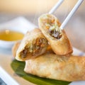 Fried Chinese Traditional Spring rolls