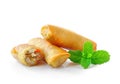 Fried Chinese Traditional Spring rolls food Royalty Free Stock Photo