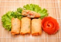 Fried Chinese Traditional Spring rolls food on map Royalty Free Stock Photo