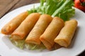 Fried Chinese Traditional Spring rolls food Royalty Free Stock Photo