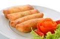 Fried Chinese Traditional Spring rolls food Royalty Free Stock Photo