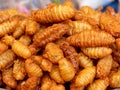 Fried chrysalis, fried silk worms, fried grasshoppers, crispy, fragrant, creamy, delicious, sold well in street stalls Royalty Free Stock Photo