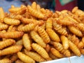 Fried chrysalis, fried silk worms, fried grasshoppers, crispy, fragrant, creamy, delicious, sold well in street stalls Royalty Free Stock Photo