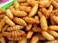 Fried chrysalis, fried silk worms, fried grasshoppers, crispy, fragrant, creamy, delicious, sold well in street stalls Royalty Free Stock Photo