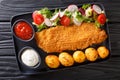 Fried cod fillet in breading with a garnish of new potatoes and fresh vegetable salad close-up on the table. horizontal top view Royalty Free Stock Photo