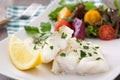 Fried cod fillet and salad in plate Royalty Free Stock Photo