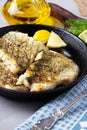 Fried cod fish fillet with spice in a cast iron pan Royalty Free Stock Photo