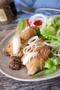Fried cod and salad Royalty Free Stock Photo