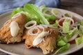 Fried cod and salad Royalty Free Stock Photo