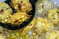 Fried cook of Batate Vade, Batate Vadey, Fried Dhal Beans Cake or Kuih Vadey closeup. Indian traditional food