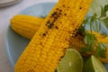 Fried corn, lime  picnic cook a nutrition background homemade Royalty Free Stock Photo