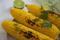 Fried corn, lime  picnic  a light background homemade Royalty Free Stock Photo