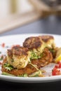 Fried Crabcake dinner with fried green tomato Royalty Free Stock Photo