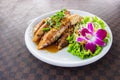 Fried crayfish with garlic decorated with purple orchid on a white ceramic dish put on leather floor the grid pattern Royalty Free Stock Photo