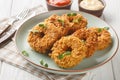 Fried crispy breaded chicken donuts close-up on a plate. Horizontal Royalty Free Stock Photo