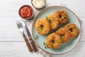 Fried crispy breaded chicken donuts close-up on a plate. Horizontal top view Royalty Free Stock Photo