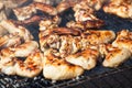 fried with a crispy golden crust fried chicken wings on the grill. Royalty Free Stock Photo