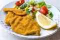 Fried Crispy Sardine Fish Plate with Salad and Lemon / Seafood Sardalya. Royalty Free Stock Photo