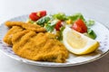 Fried Crispy Sardine Fish Plate with Salad and Lemon / Seafood Sardalya. Royalty Free Stock Photo