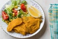 Fried Crispy Sardine Fish Plate with Salad and Lemon / Seafood Sardalya. Royalty Free Stock Photo